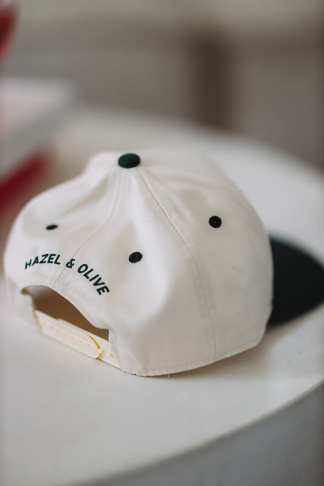 Rich Girl Great Tan Two Toned Snapback Hat - Beige and Green-HAZEL & OLIVE-